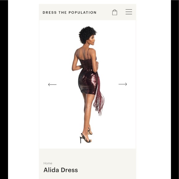 Alida Sequin Fringe Minidress
DRESS THE POPULATION - Picture 7 of 7